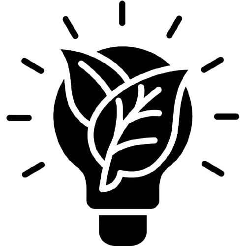 Éducation environnementale
